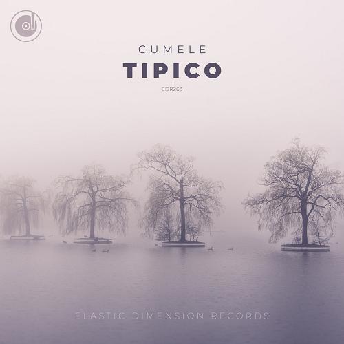 Tipico free downloads