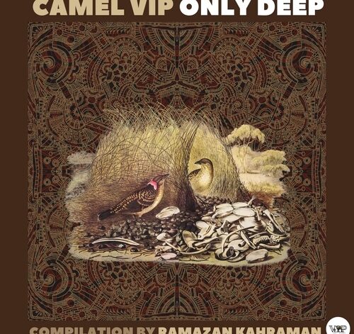 Camel VIP Only Deep (Compilation By Ramazan Kahraman) (2023)