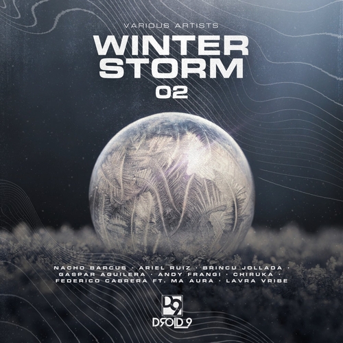 VA - Winter Storm 02 [D9R305] - EDM Waves Free Download