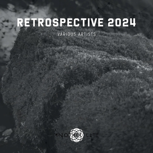 Va - Retrospective 2024 [almva202401] - Edm Waves Free Download